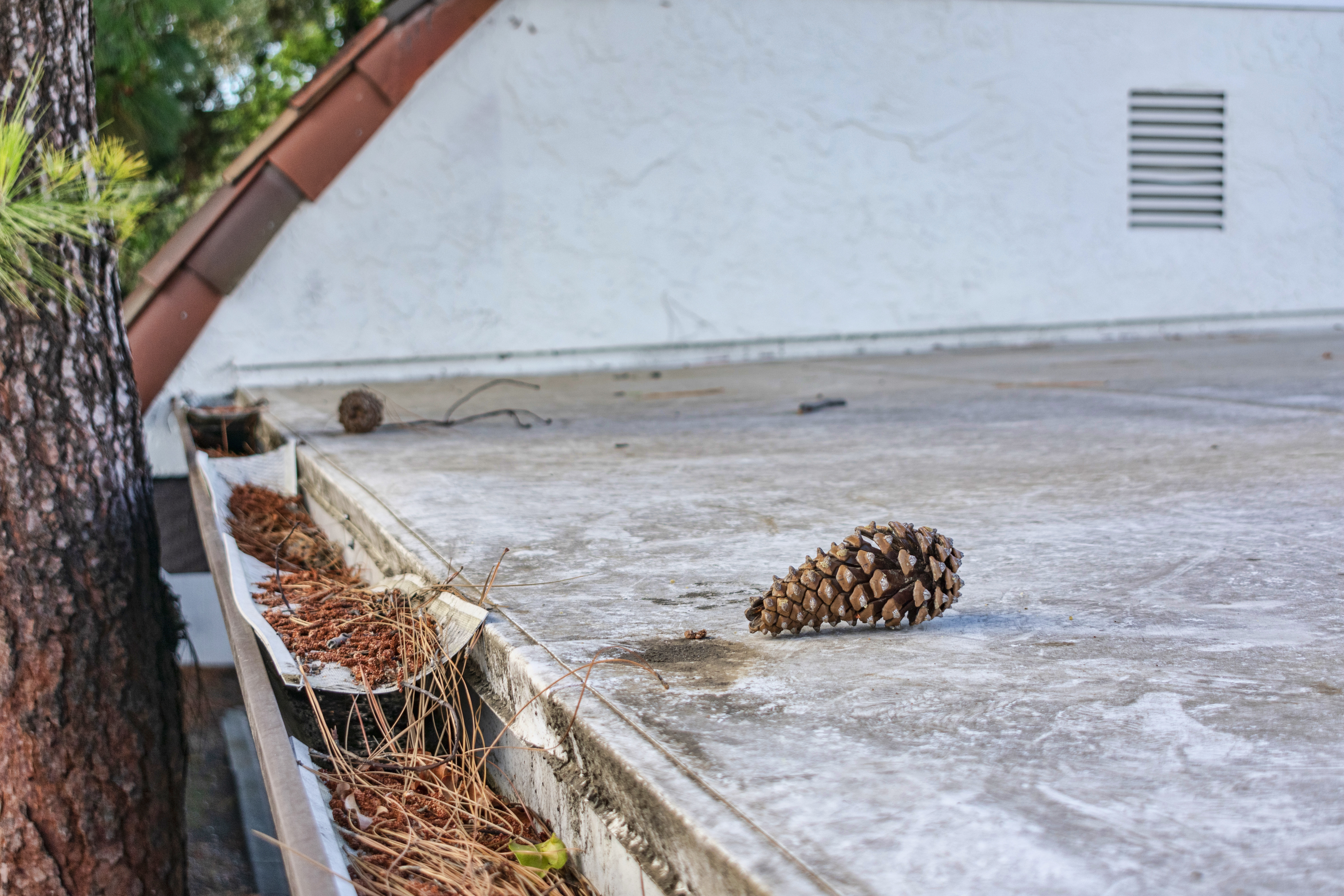 The Purpose of Gutters for Homes Near Lexington, Kentucky (KY) like Directing Rainwater