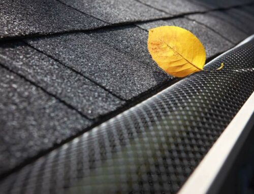 3 Reasons Why Your Lexington Home Needs Gutter Guards
