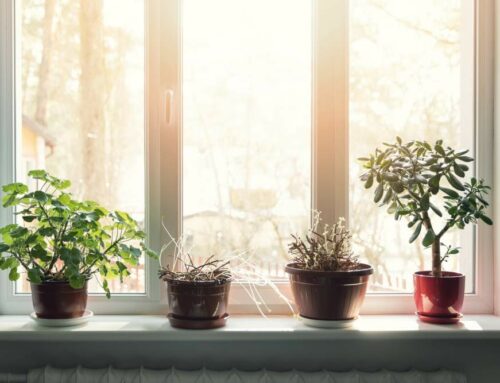 Outfitting Greenhouse Windows in Kentucky
