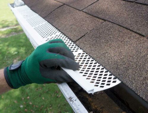 Why Do Lexington Homeowners Love Leaf Guards?