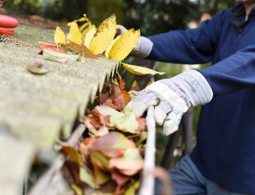 Household Checklist to Get Ready for a Kentucky Fall
