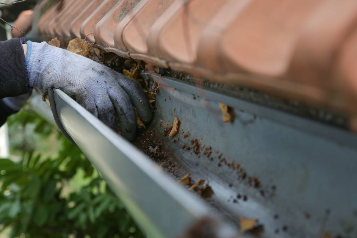 Home’s gutters full of leaves being cleaned out by hand