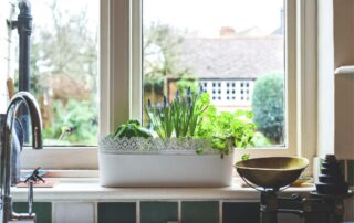 Small pot of herbs in front of a garden window in a kitchen at Gilkey Windows & Exterior Solutions near Lexington, KY