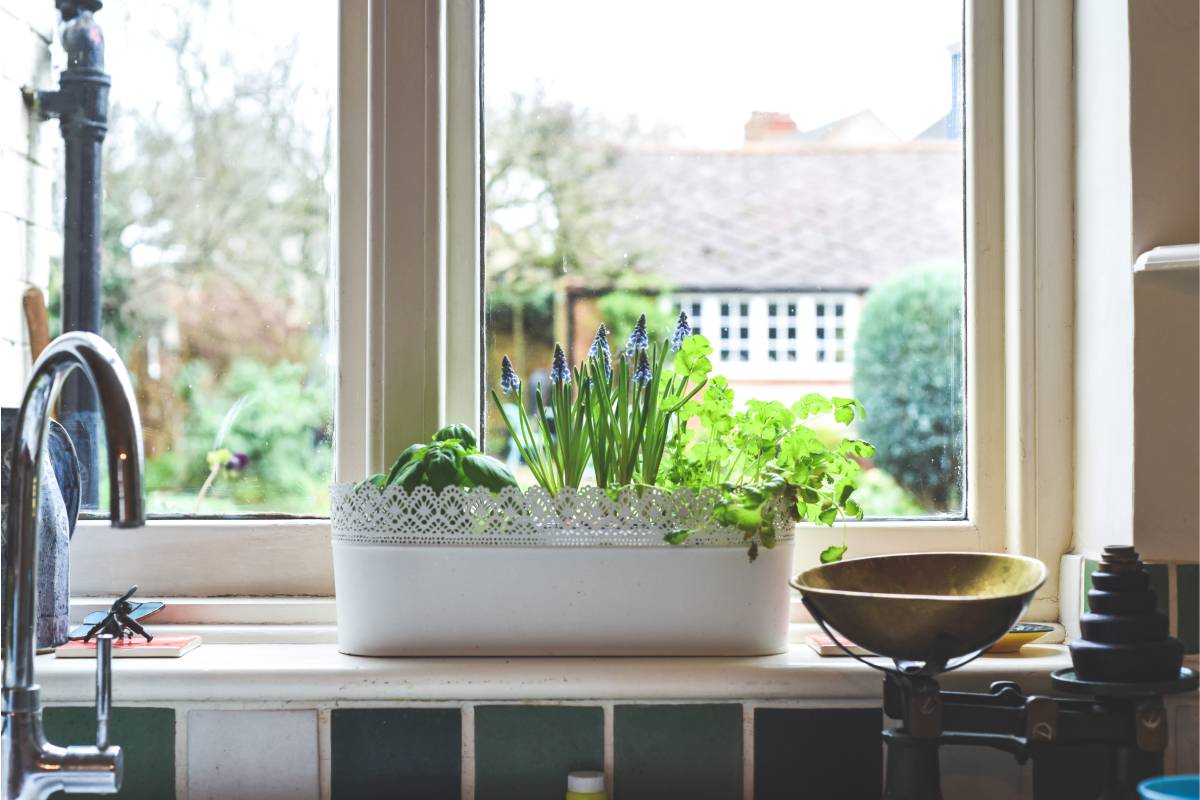 Small pot of herbs in front of a garden window in a kitchen at Gilkey Windows & Exterior Solutions near Lexington, KY