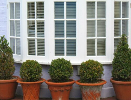 Enhance your Lexington Home with Bow Windows