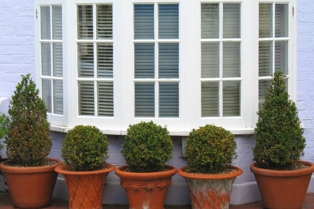 White bow windows on the exterior of a house with precisely manicured shrubs lining the window at Gilkey Windows & Exterior Solutions near Lexington, KY